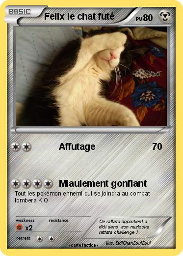 Pokemon Felix le chat futé