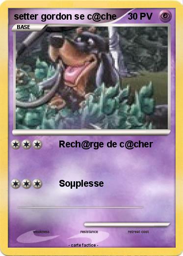 Pokemon setter gordon se c@che