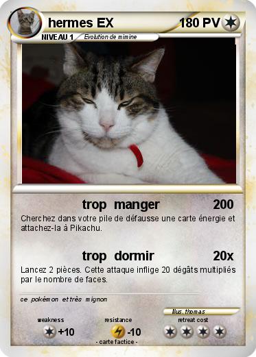 Pokemon hermes EX