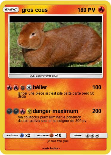 Pokemon gros cous