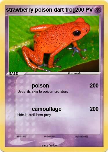 Pokemon strawberry poison dart frog