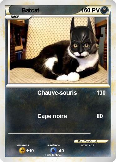 Pokemon Batcat