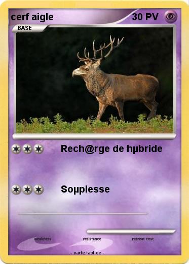 Pokemon cerf aigle