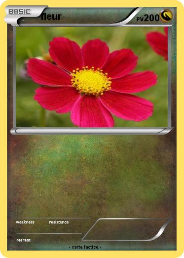 Pokemon fleur
