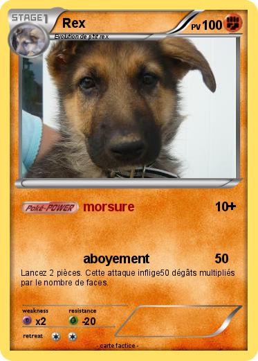Pokemon Rex