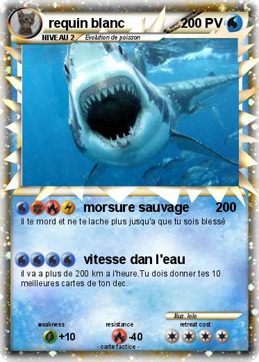 Pokemon requin blanc