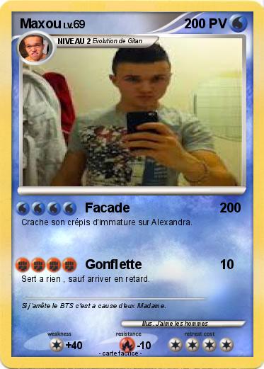 Pokemon Maxou