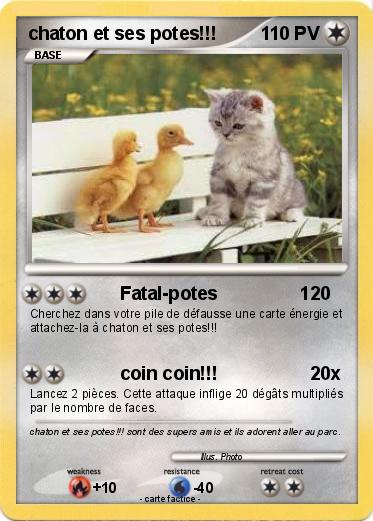 Pokemon chaton et ses potes!!!