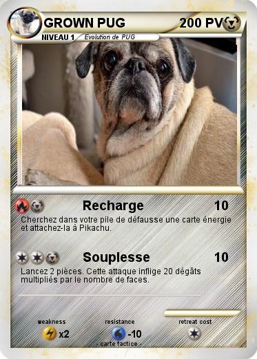 Pokemon GROWN PUG