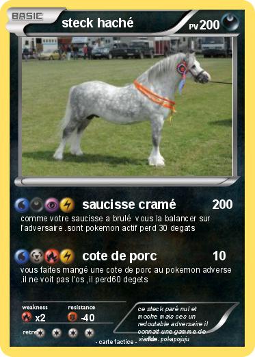 Pokemon steck haché