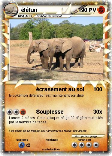 Pokemon éléfun