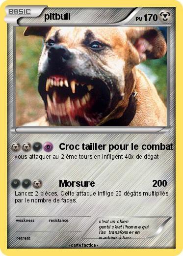Pokemon pitbull