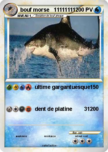 Pokemon bouf morse   11111111