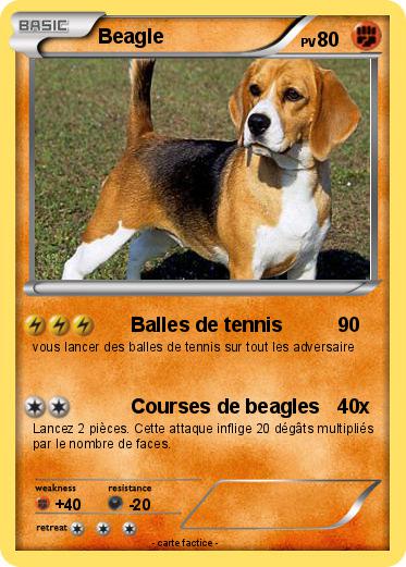 Pokemon Beagle