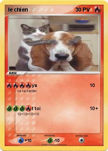 Pokemon le chien