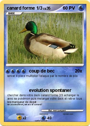 Pokemon canard forme 1/3