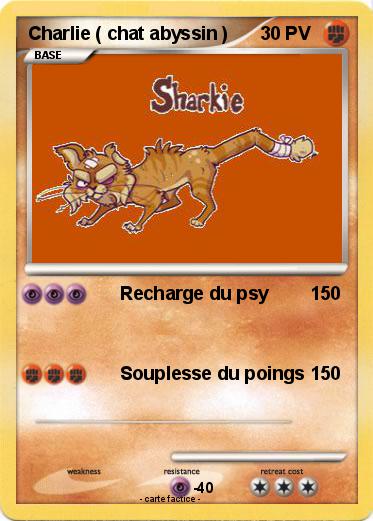 Pokemon Charlie ( chat abyssin )