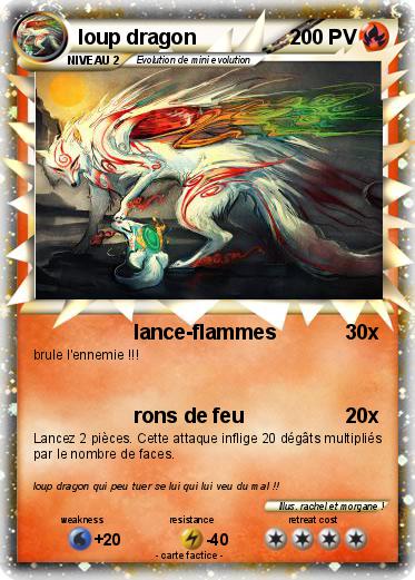 Pokemon loup dragon