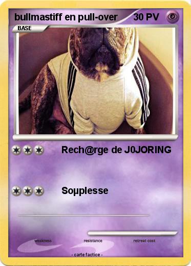 Pokemon bullmastiff en pull-over