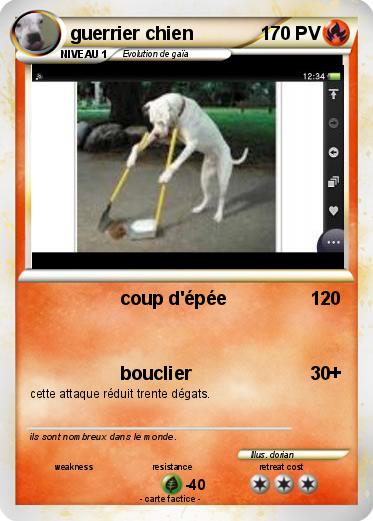 Pokemon guerrier chien