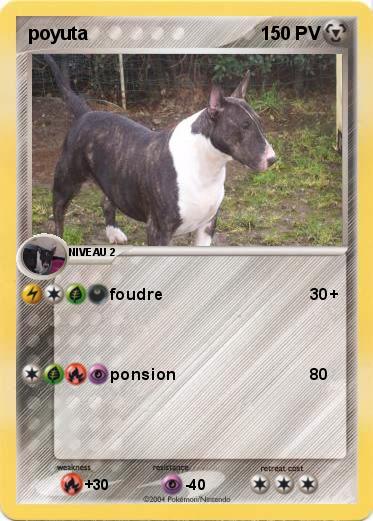 Pokemon poyuta