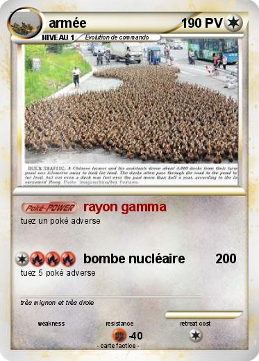 Pokemon armée