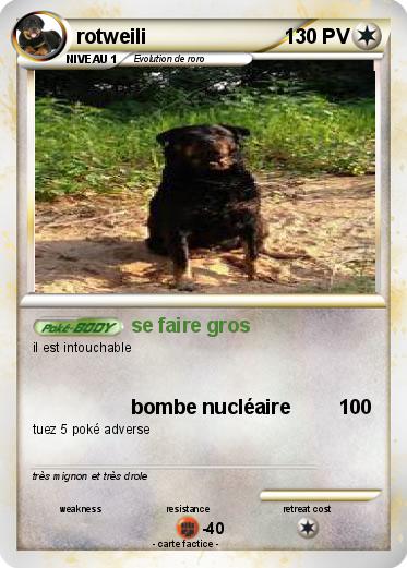 Pokemon rotweili