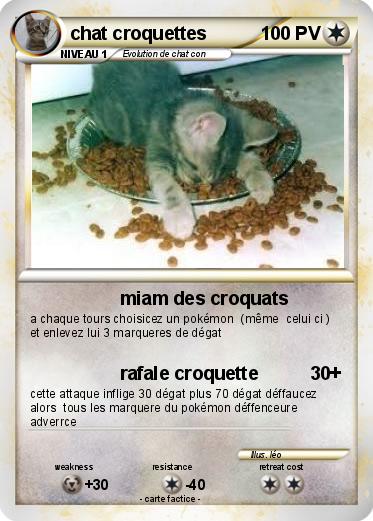 Pokemon chat croquettes