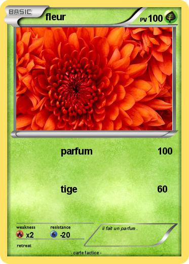 Pokemon fleur
