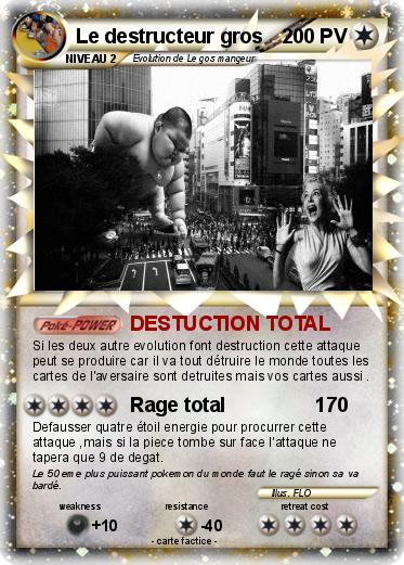 Pokemon Le destructeur gros