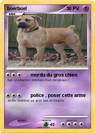 Pokemon boerboel