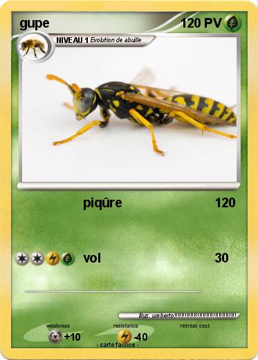 Pokemon gupe