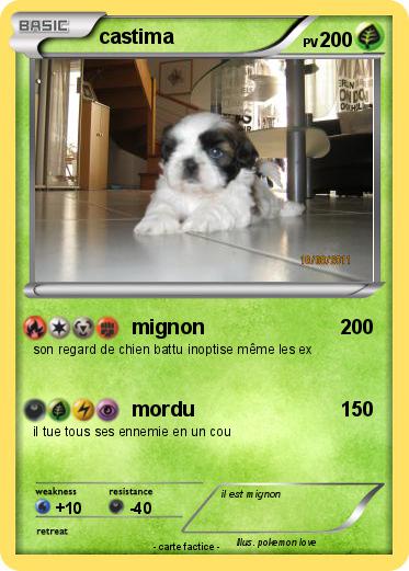 Pokemon castima