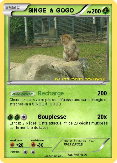 Pokemon SINGE  à  GOGO