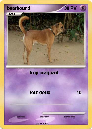 Pokemon bearhound