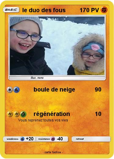 Pokemon le duo des fous