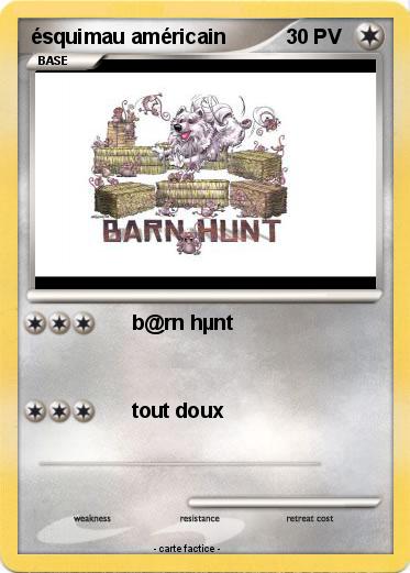 Pokemon ésquimau américain