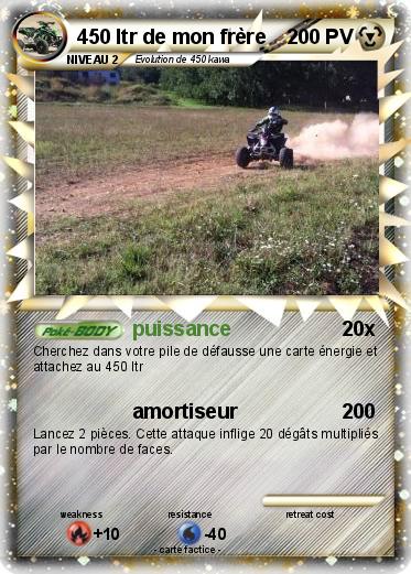 Pokemon 450 ltr de mon frère