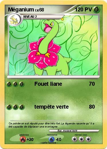 Pokemon Méganium