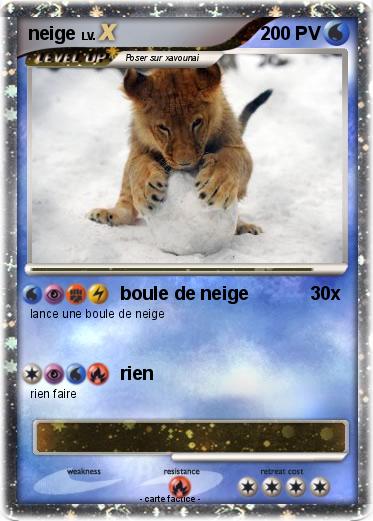 Pokemon neige