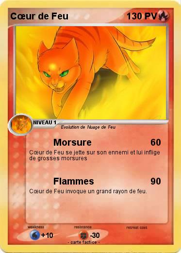 Pokemon Cœur de Feu