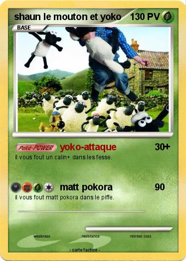 Pokemon shaun le mouton et yoko