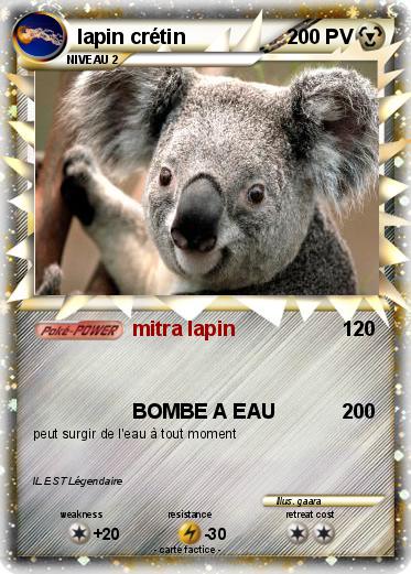 Pokemon lapin crétin