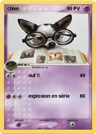 Pokemon chien