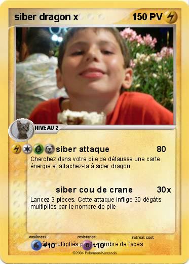 Pokemon siber dragon x
