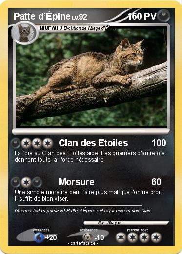 Pokemon Patte d’Épine