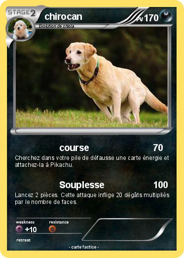 Pokemon chirocan