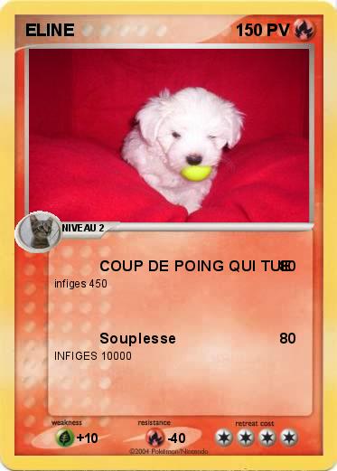 Pokemon ELINE