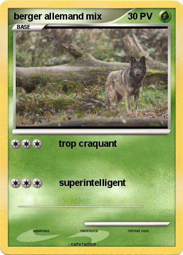 Pokemon berger allemand mix