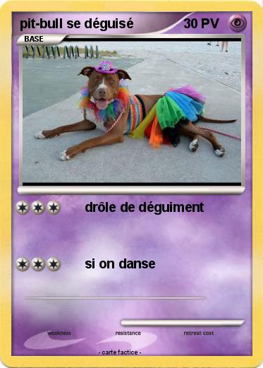 Pokemon pit-bull se déguisé